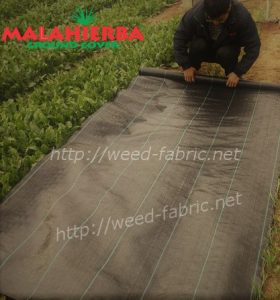 installation of ground cover fabric in garden