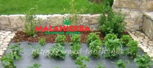 ground cover used for avoid the weed growth