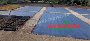weed fabric installed on cropfield