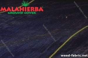 Anti-weed fabric installed in a field