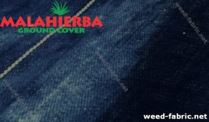 Weed cloth covering plants.