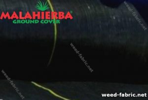 Weed Control
