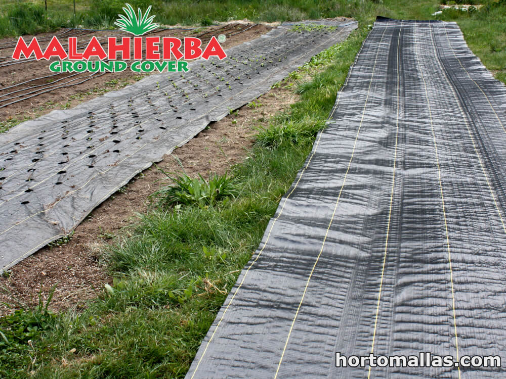 ground cover fabric used in plants in garden
